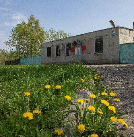 гай в Приморском