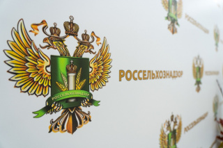 Россельхознадзор предупреждает о небезопасной куриной продукции, поступившей в продажу на Камчатке