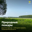 ПРИЧИНЫ ВОЗНИКНОВЕНИЯ ПРИРОДНЫХ ПОЖАРОВ