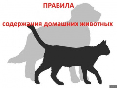 Требования по содержанию домашних животных
