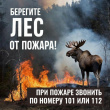 СОБЛЮДАЙТЕ ПРАВИЛА ПОЖАРНОЙ БЕЗОПАСНОСТИ В ЛЕСУ
