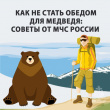 ЧТО ДЕЛАТЬ, ЕСЛИ ВСТРЕТИЛ МЕДВЕДЯ: СОВЕТЫ ОТ МЧС РОССИИ