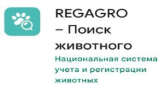 ПОДАВАТЬ ЗАЯВКИ НА ОТЛОВ СТАЛО УДОБНЕЕ
