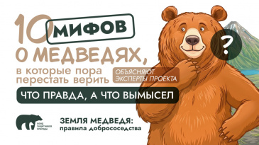 10 МИФОВ О МЕДВЕДЯХ, В КОТОРЫЕ ПОРА ПЕРЕСТАТЬ ВЕРИТЬ