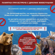 ОСТОРОЖНО! МЕДВЕДЬ!