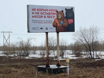 МЕДВЕДИ НА БАННЕРАХ ДЛЯ СНИЖЕНИЯ ЧИСЛА КОНФЛИКТОВ: НА КАМЧАТКЕ СТАРТОВАЛ ПРОЕКТ «ЗЕМЛЯ МЕДВЕДЯ: ПРАВИЛА ДОБРОСОСЕДСТВА»