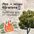 БЕРЕГИТЕ ЛЕС ОТ ПОЖАРА