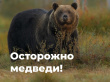 ВНИМАНИЕ! УЧАСТИЛИСЬ СЛУЧАИ ВЫХОДА МЕДВЕДЕЙ В НАСЕЛЕННЫЕ ПУНКТЫ!