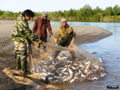 РОСРЫБОЛОВСТВО НАПОМИНАЕТ