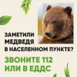 УЧАСТИЛИСЬ СЛУЧАИ ВЫХОДА МЕДВЕДЕЙ В НАСЕЛЁННЫЕ ПУНКТЫ!