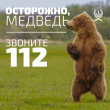 ВНИМАНИЕ! ПРЕДУПРЕЖДЕНИЕ О ПОЯВЛЕНИИ МЕДВЕДЯ В РАЙОНЕ РЫБАЧИЙ