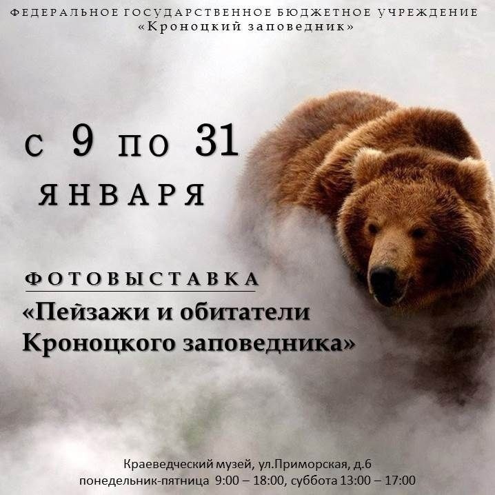 Выставка