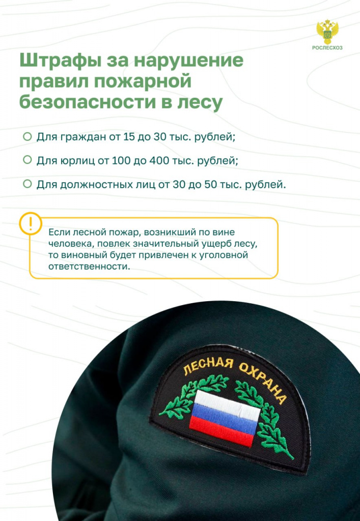 Пожар в лесу
