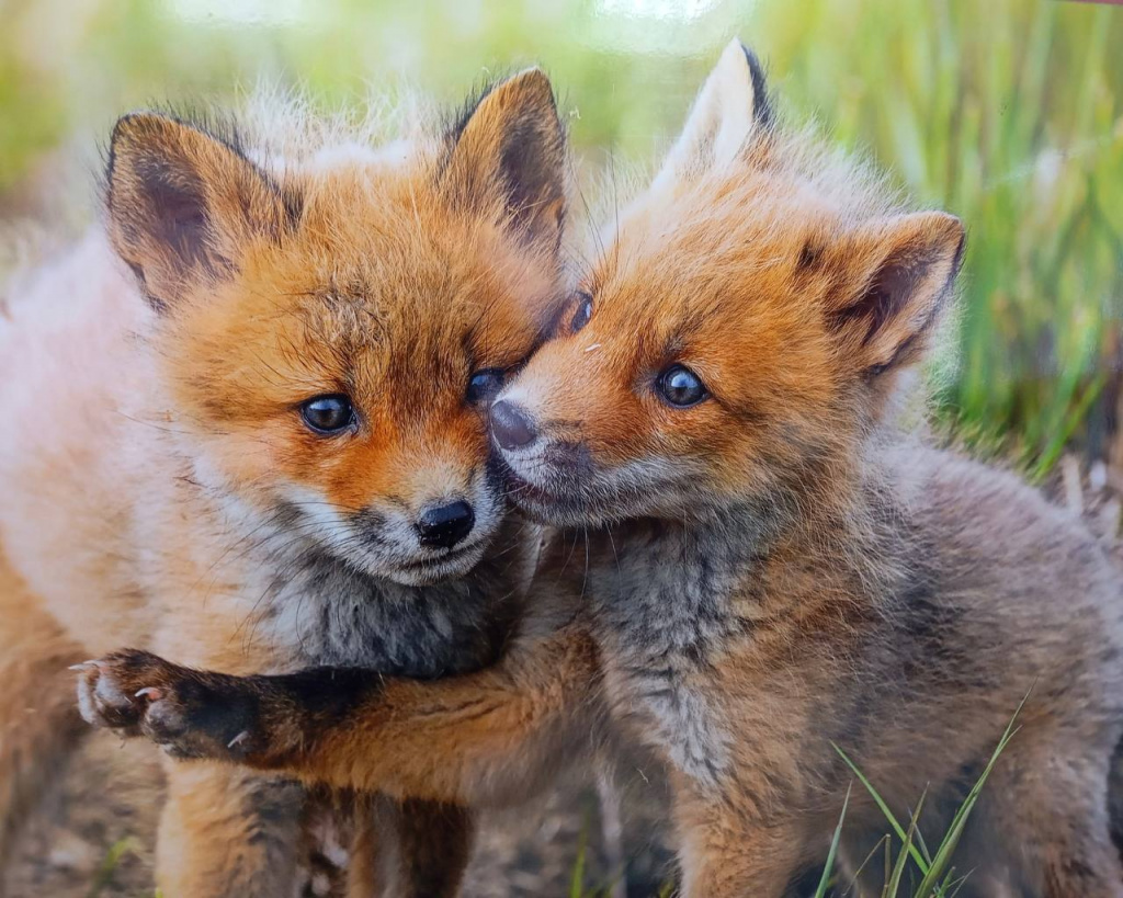 выставка фото