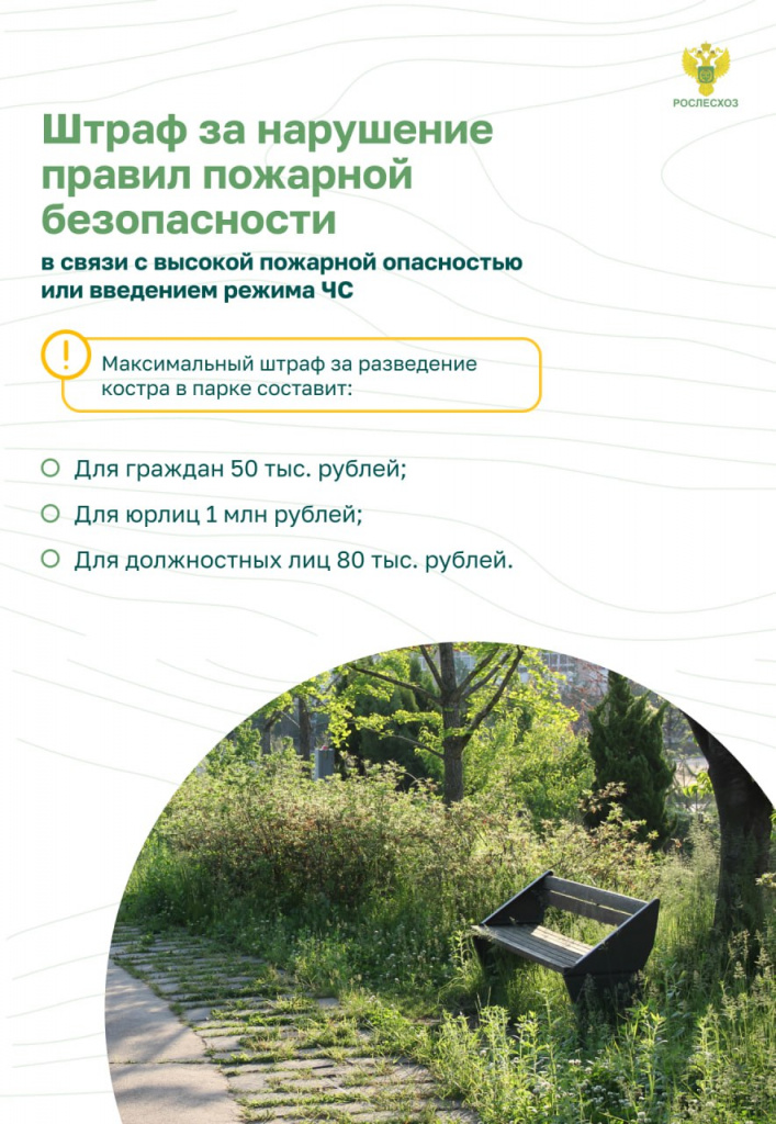 Пожар в лесу