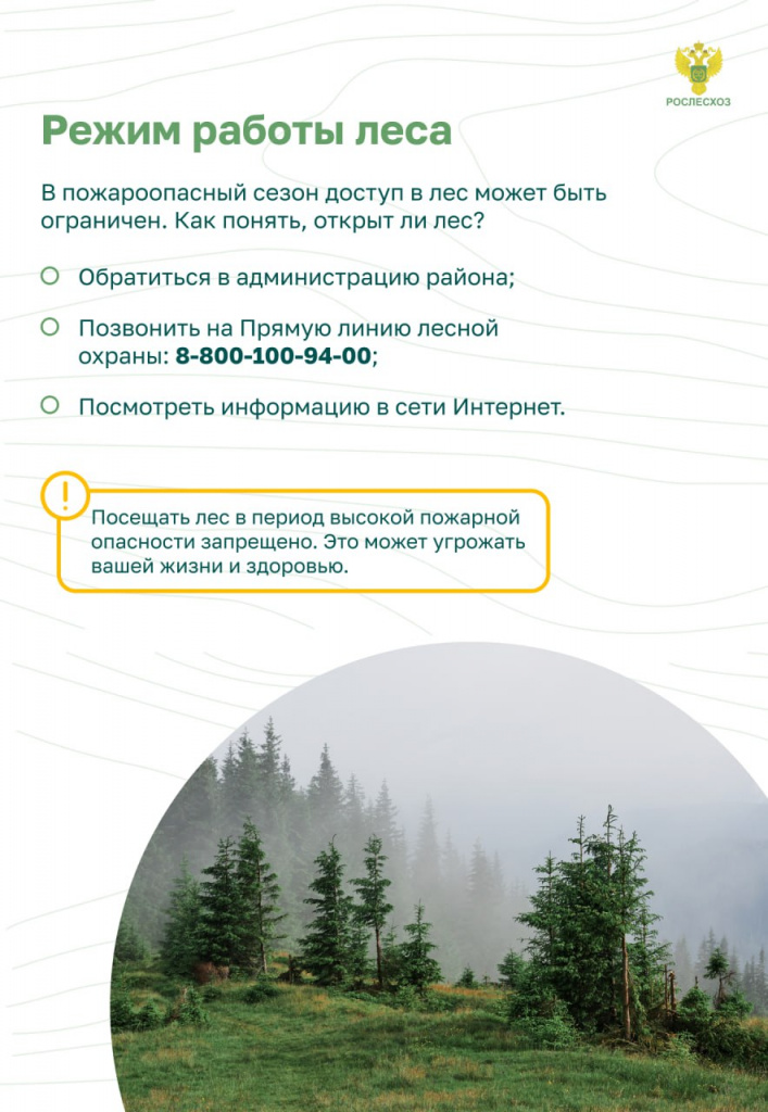 Пожар в лесу