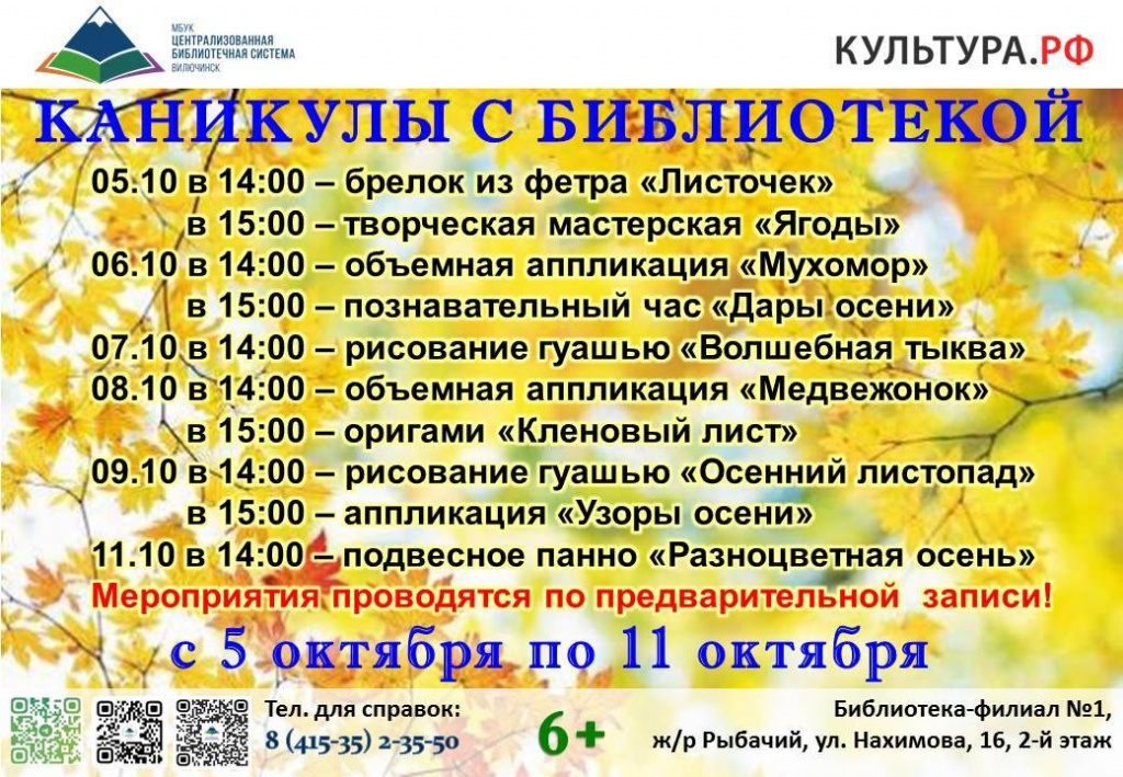 каникулы с библиотекой