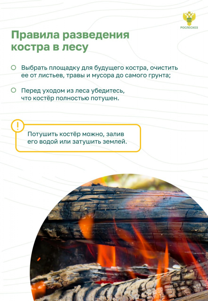 Пожар в лесу