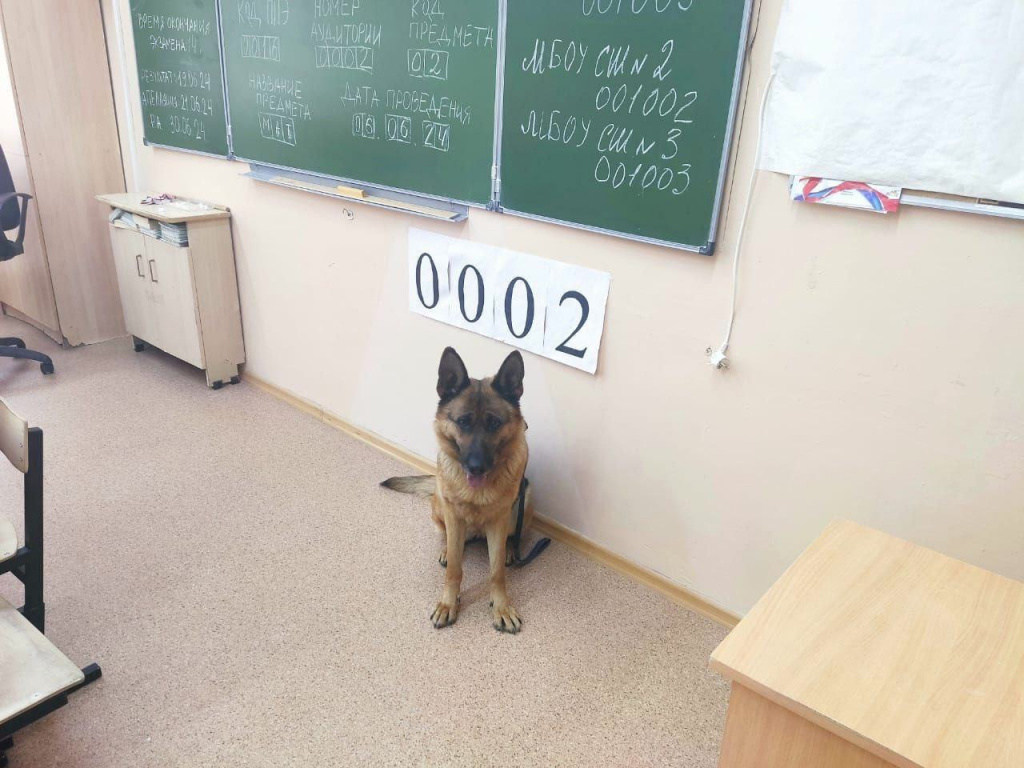 ЕГЭ