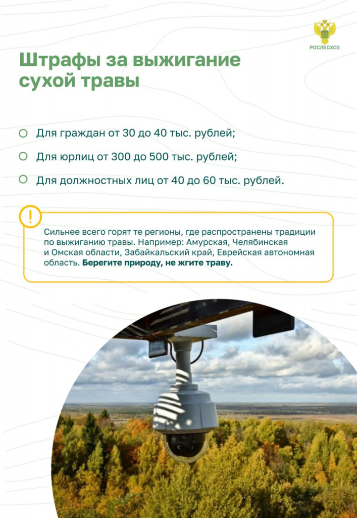 Пожар в лесу