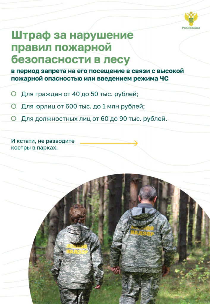 Пожар в лесу