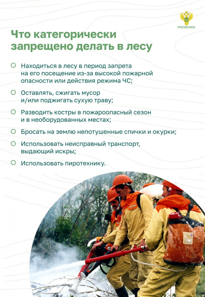Пожар в лесу