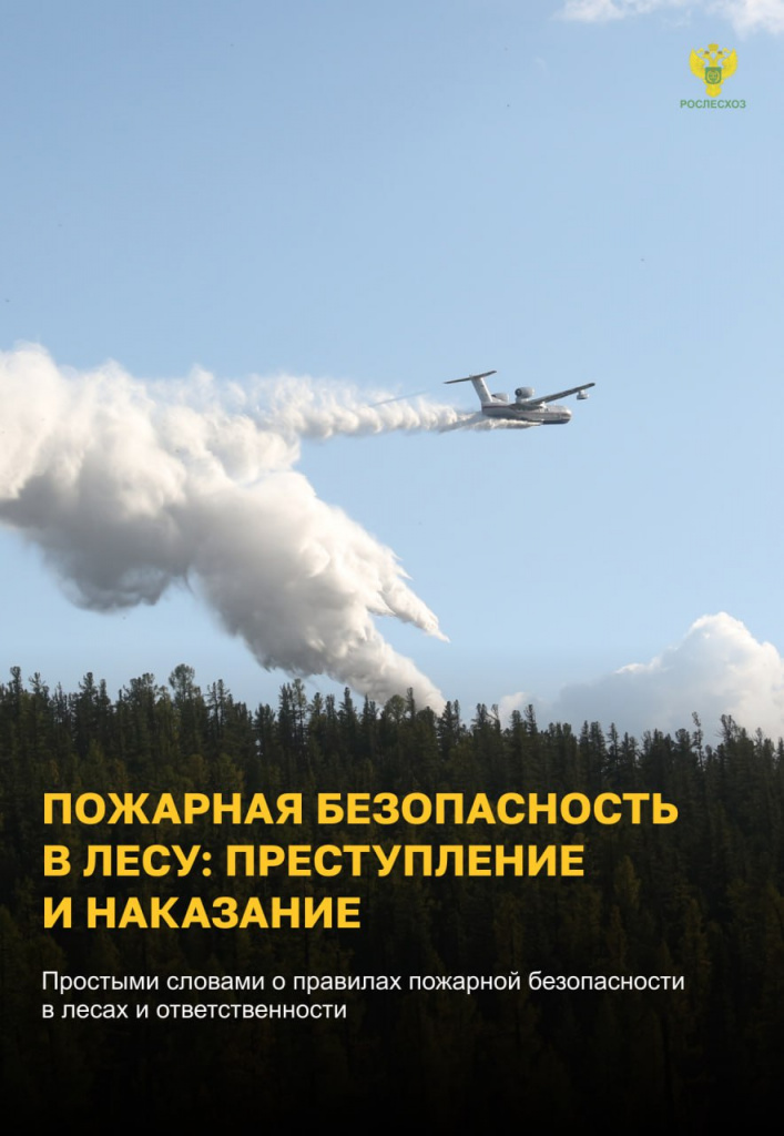 Пожар в лесу