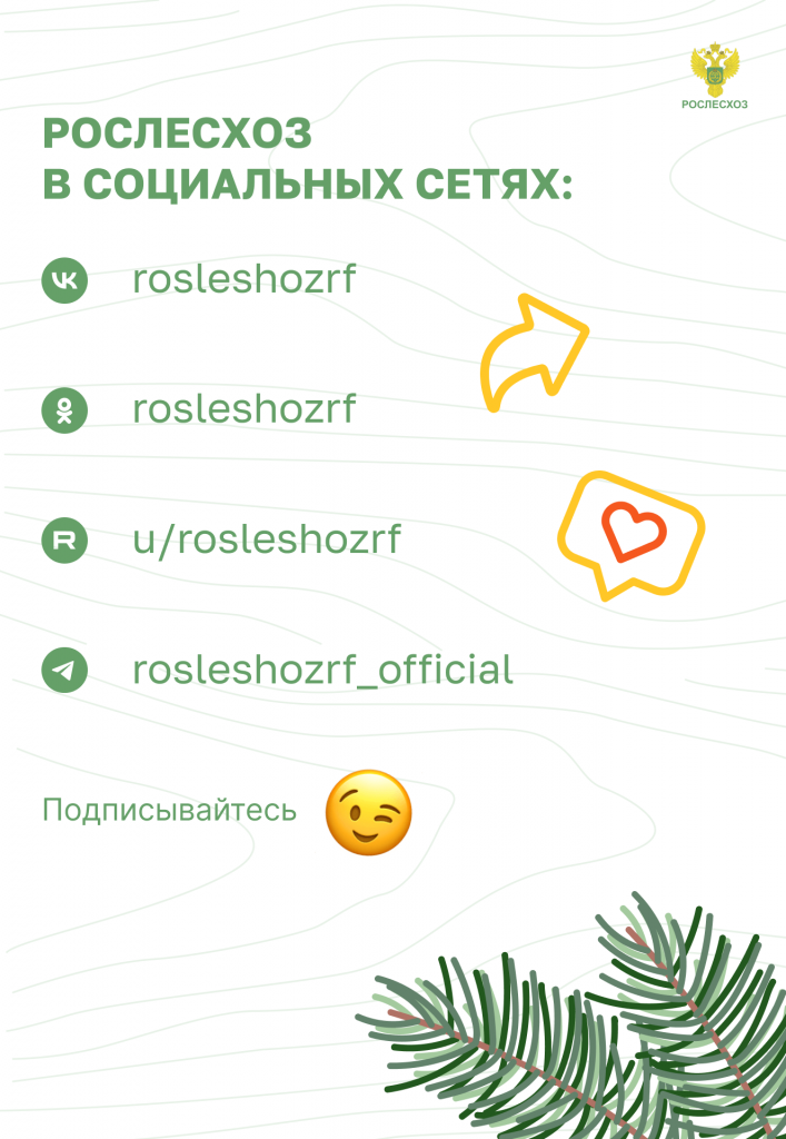 Пожар в лесу